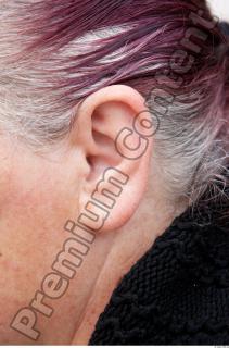 Ear texture of street references 411 0001